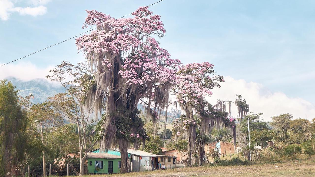 ChipataMacua别墅 外观 照片